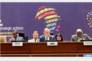 IMG_20250374_25309262