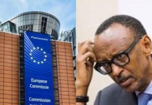 IMG_20250376_233011233