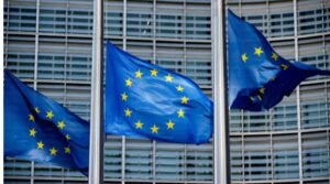 IMG_20250377_2845489