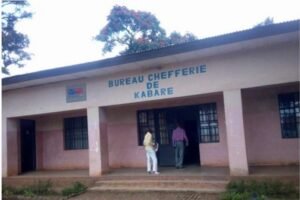 IMG_20250378_230935112