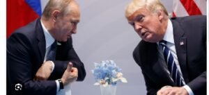 IMG_20250380_93744565