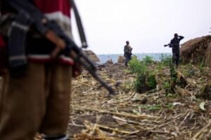 IMG_202504100_101928429