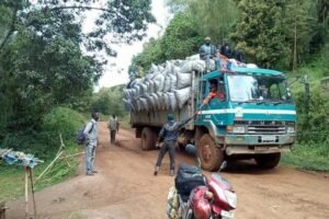 IMG_202504100_102126341