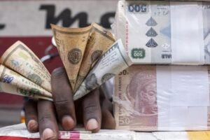 IMG_202504106_135500253