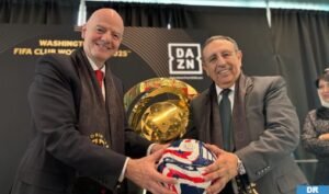 IMG_202504107_103102941