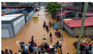 IMG_202504107_103622350