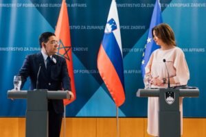 IMG_202504112_164335130