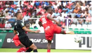 IMG_202504112_5011086