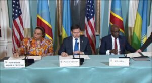 IMG_202504115_230649549