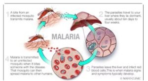 IMG_202504115_232634463