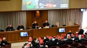 IMG_202504116_001224280