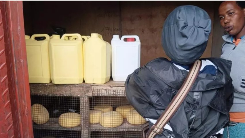 IMG_202504119_3958835