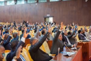 IMG_20250495_115138968