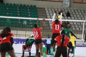 IMG_20250497_232305544