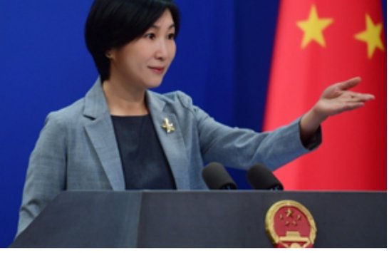 IMG_202505127_92706951