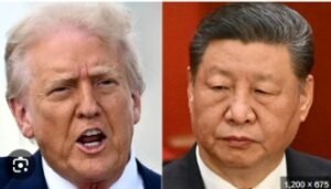 IMG_202505131_95244561