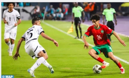 IMG_202505136_12714995