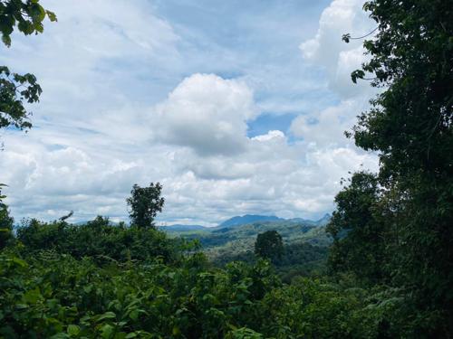 IMG_202505138_004413603