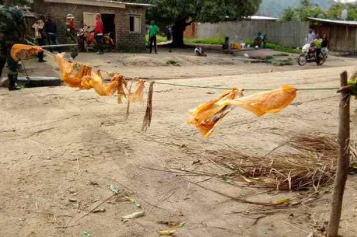 IMG_202505138_010708586