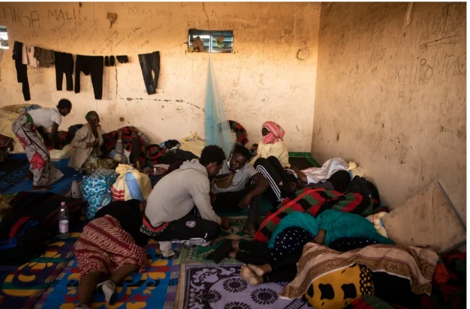 IMG_202505140_70723194