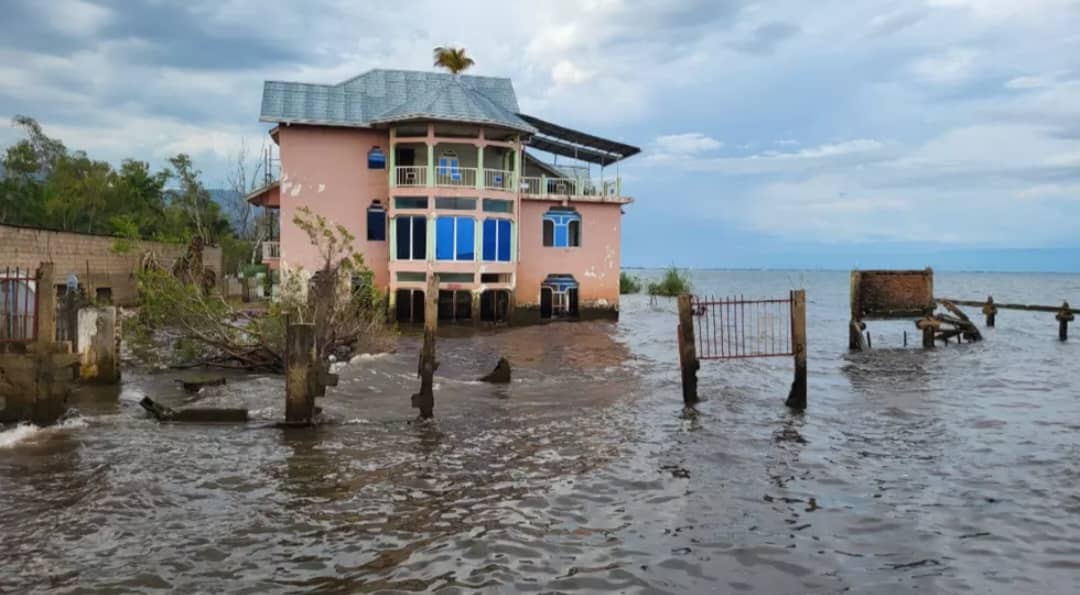 IMG_202505141_184504370