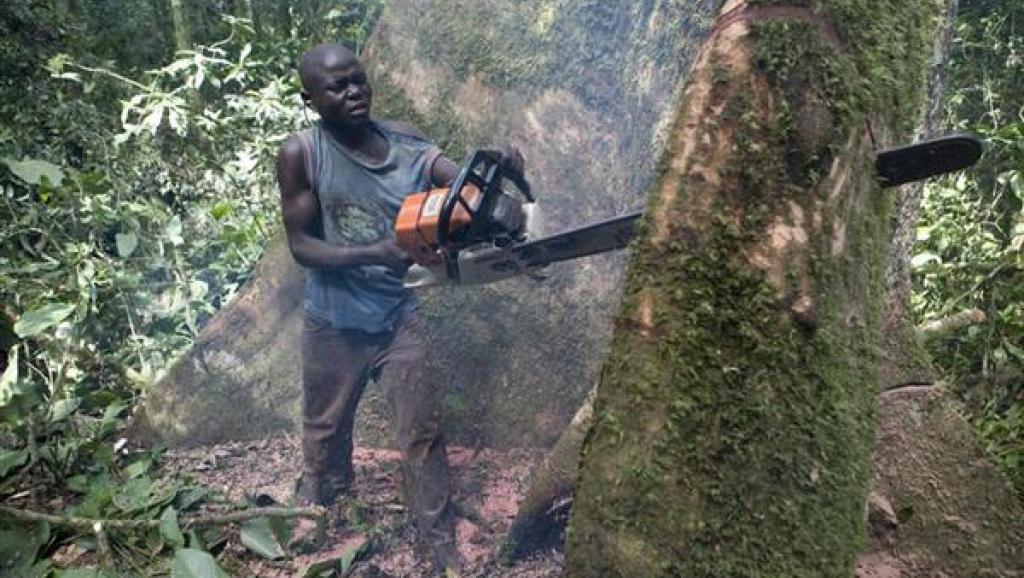 IMG_202505141_184820503