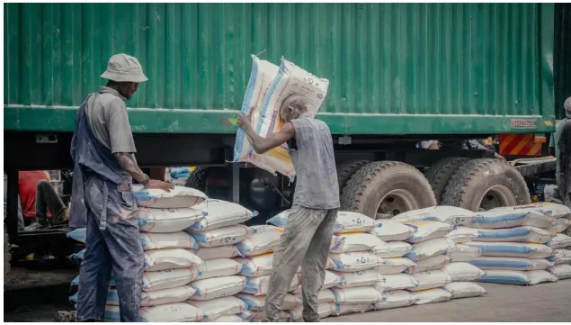 IMG_202505146_115951246