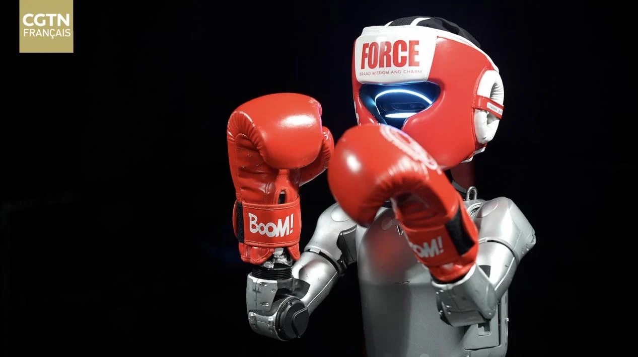 IMG_202505147_145445019