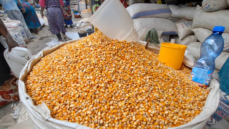 IMG_202506155_174558451