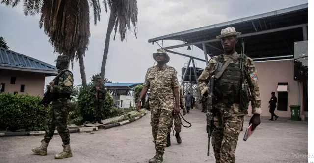 IMG_202506157_211413340