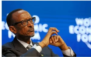 IMG_202506159_103446373