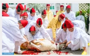 IMG_202506159_112425926