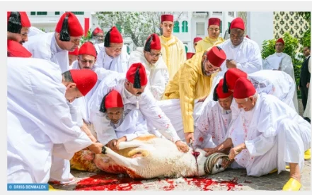 IMG_202506159_112425926