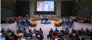 IMG_202506165_102011799