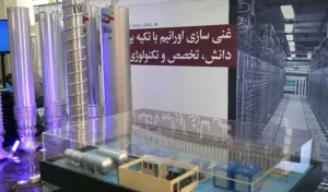 IMG_202506166_195113866