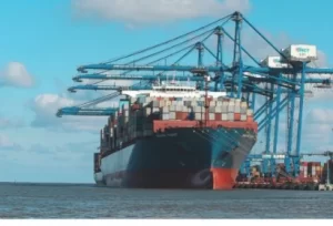 IMG_202506166_200807304