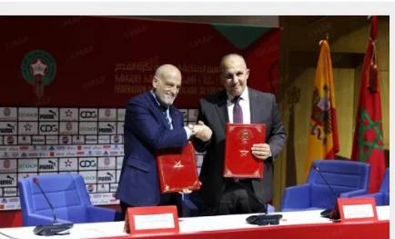 IMG_202506168_95557239