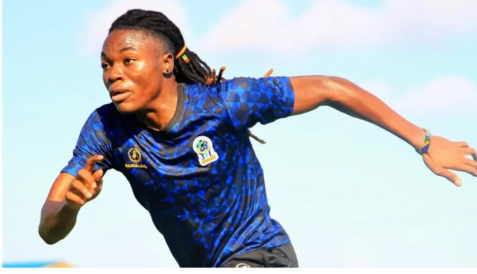 IMG_202506170_84941133