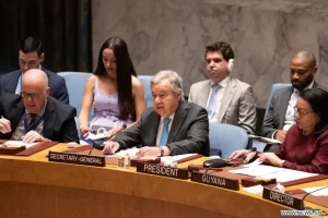 IMG_202506174_235637669