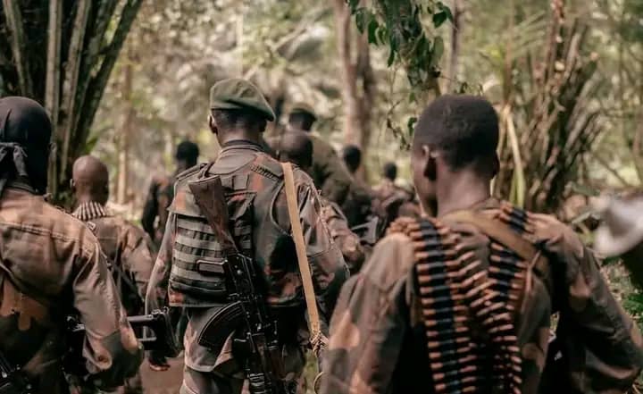 IMG_202506175_000129110