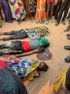 IMG_202507186_083947460