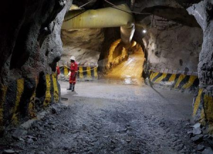 IMG_202507186_112808764