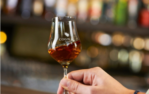 IMG_202507186_81900126