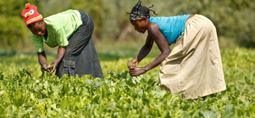 IMG_202507190_094022476