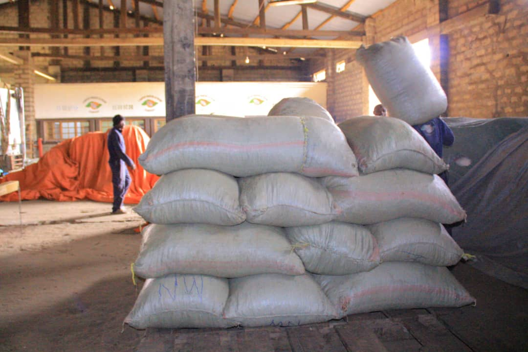 IMG_202507192_161835856