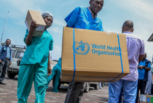 IMG_202507193_004229843