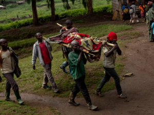 IMG_202507193_175626658