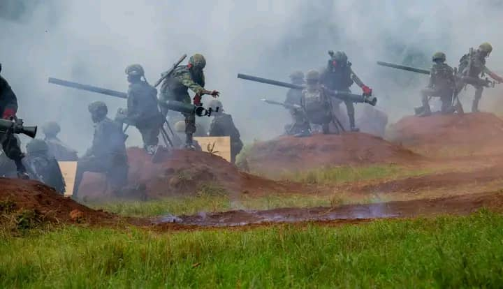 IMG_202507196_142226938