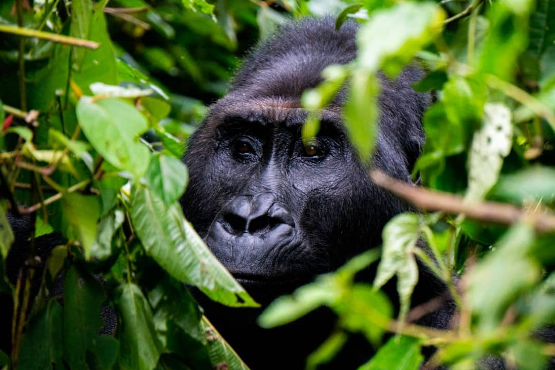 IMG_202507196_193415100