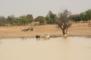 IMG_202507198_080643540